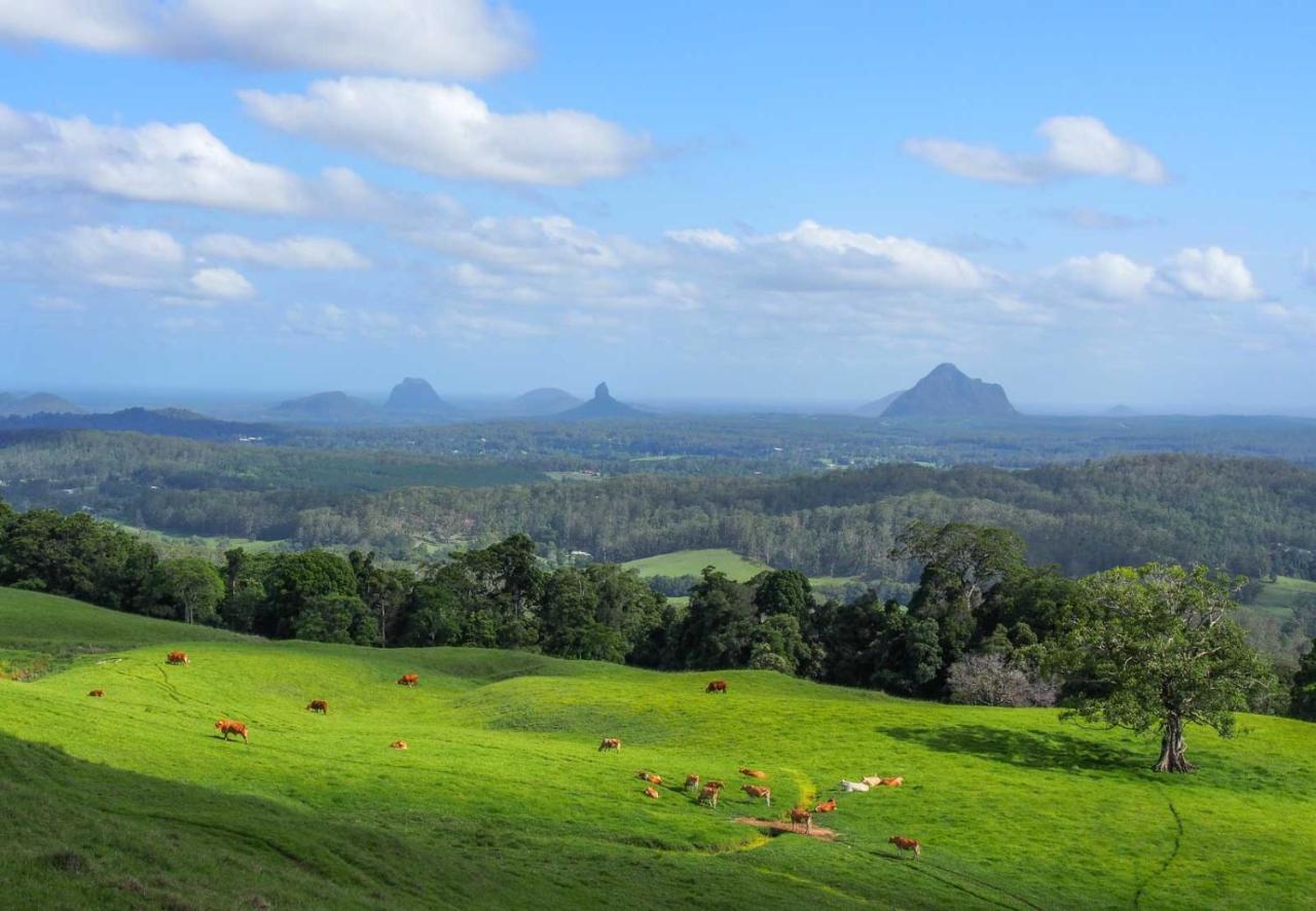 Maleny Lake Cottages Екстер'єр фото